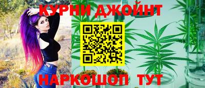 крисы Гатчина