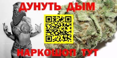 крисы Гатчина