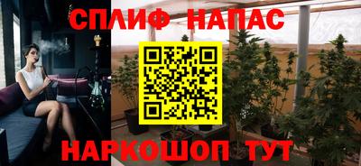 крисы Гатчина