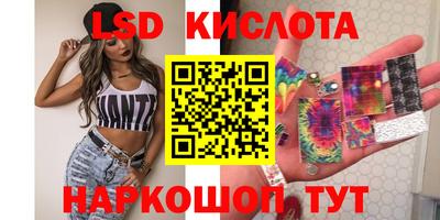 крисы Гатчина