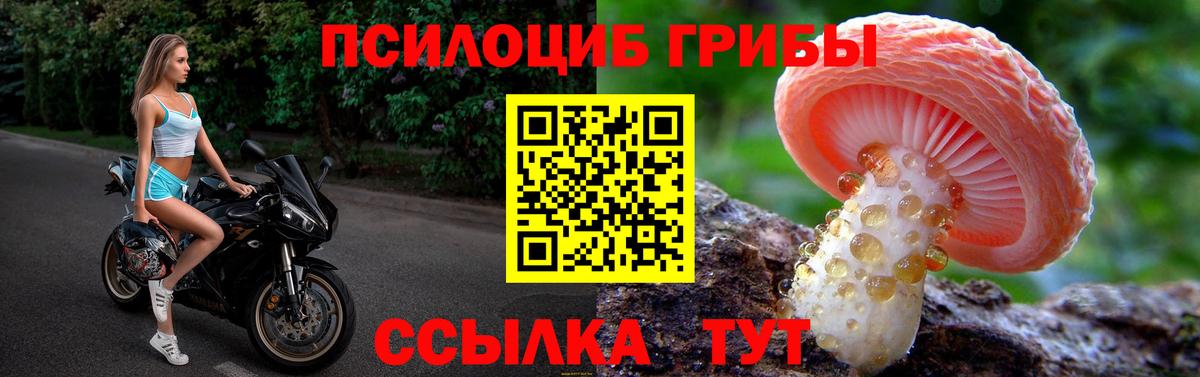 Псилоцибиновые грибы мухоморы Гуково