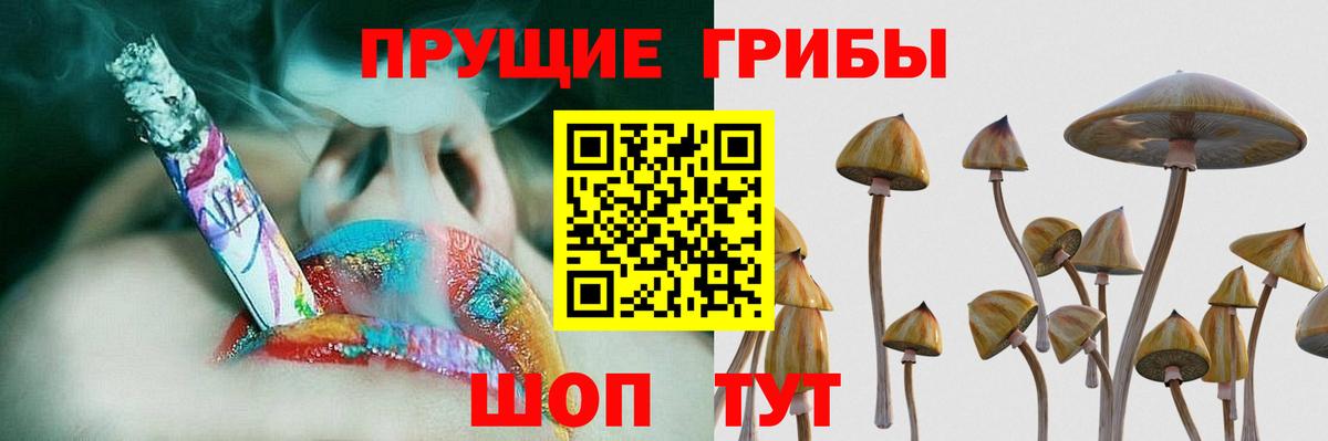Псилоцибиновые грибы GOLDEN TEACHER  Вход с VPN  Гуково  Галлюциногенные грибы Magic Shrooms 